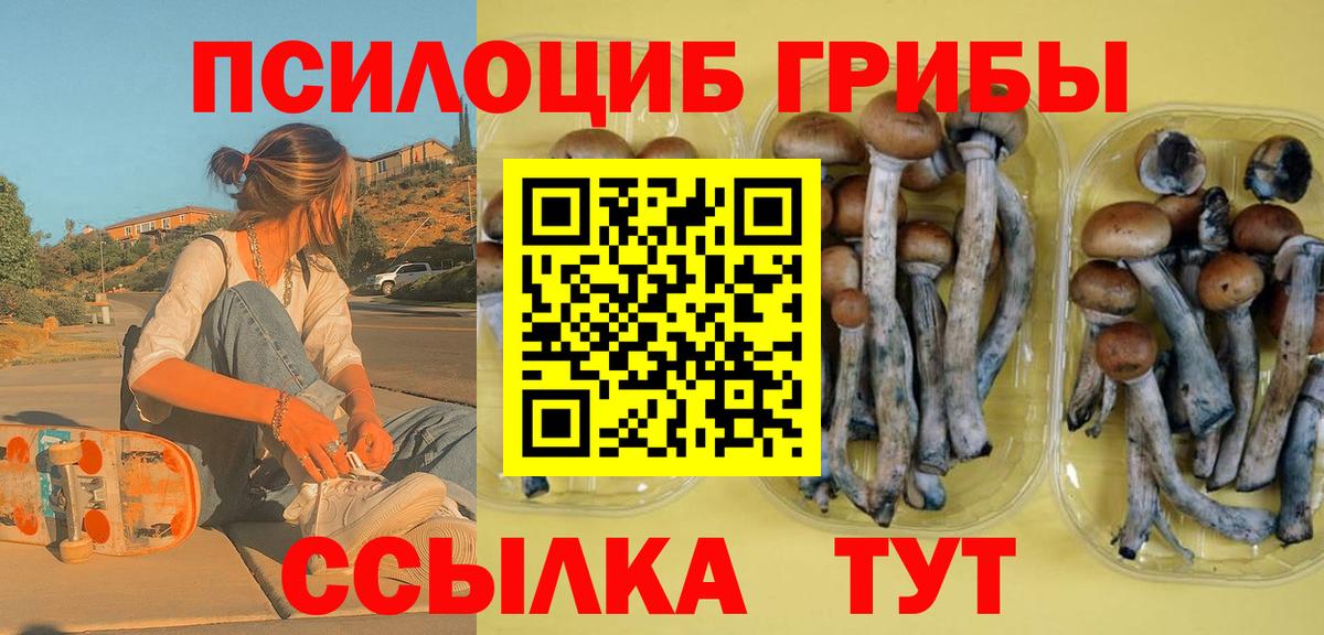 Ейск  Псилоцибиновые грибы прущие грибы  сколько стоит  Вход с VPN 