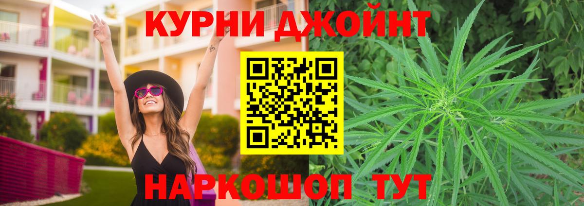 Каннабис план Ейск