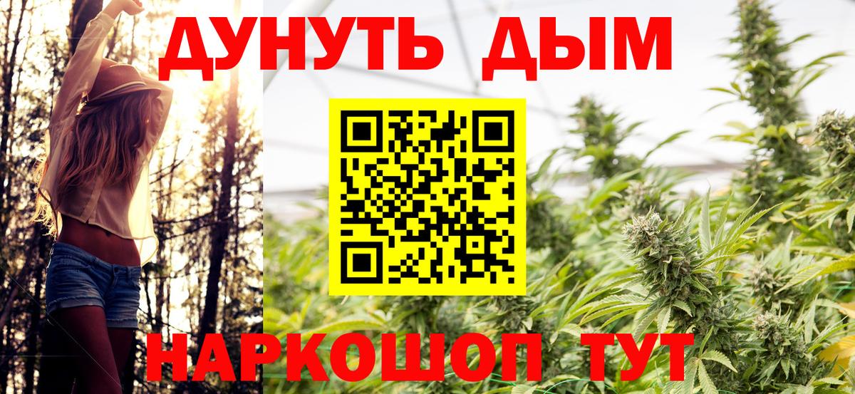 Бошки марихуана гибрид  Вход с VPN  Бошки Шишки сатива  Ейск 
